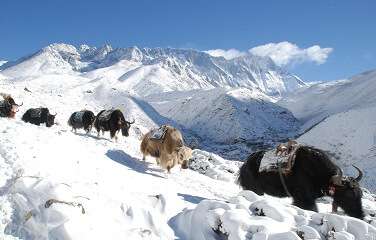 Mountain pass trek