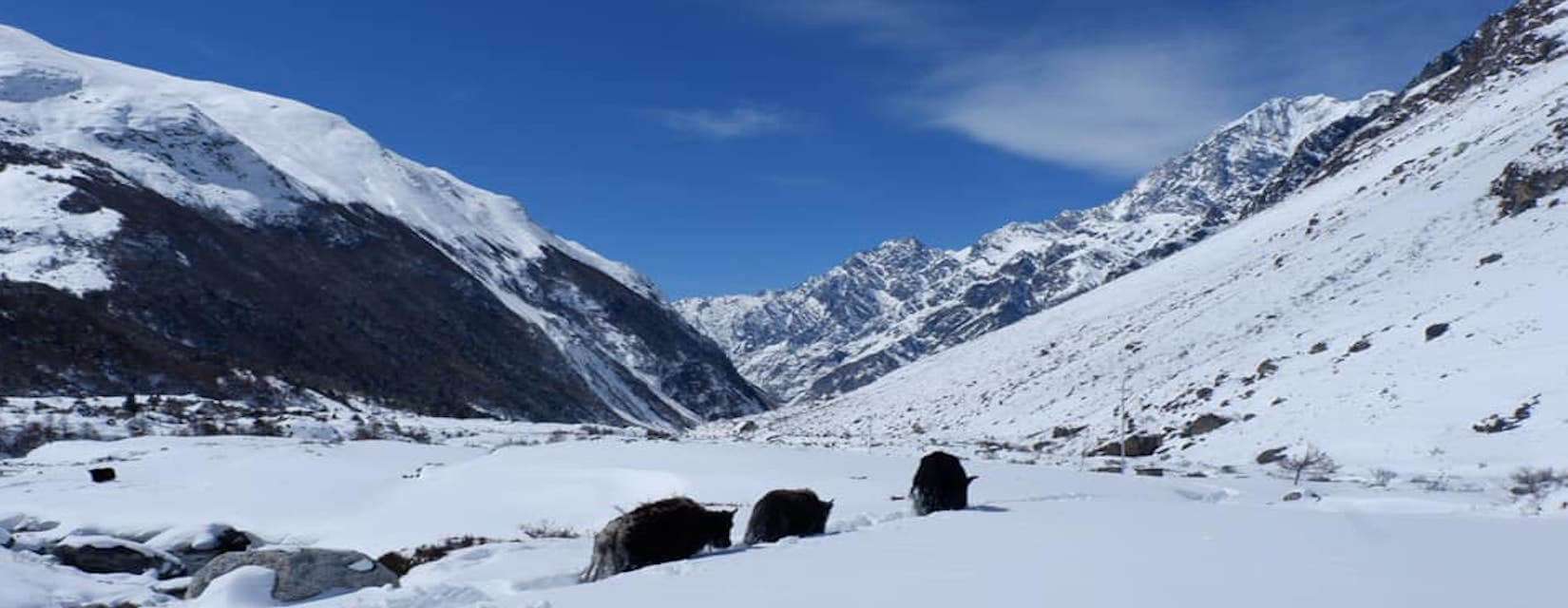 Manaslu Circuit Trek VS Annapurna Circuit Trek