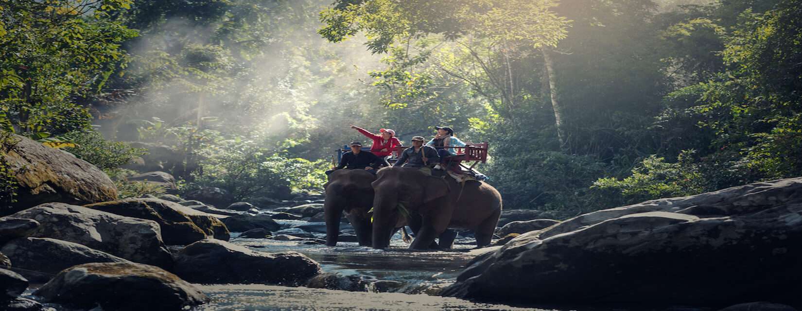 Chitwan Jungle Safari Tour