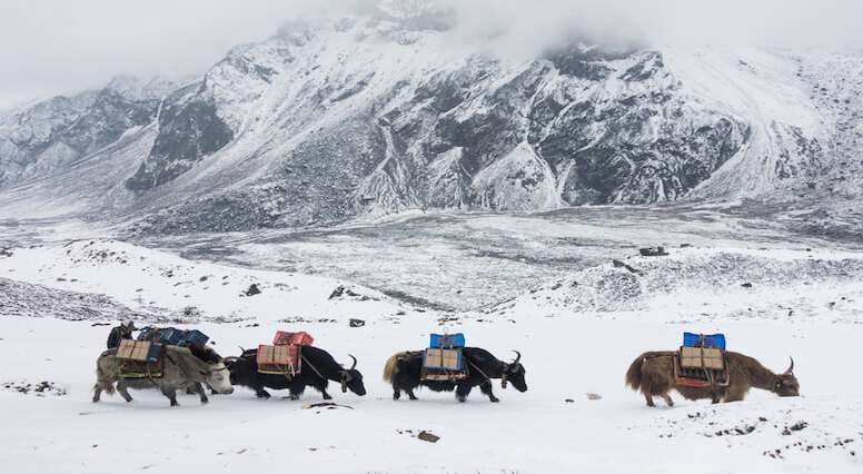 Himalayan Adventure Video