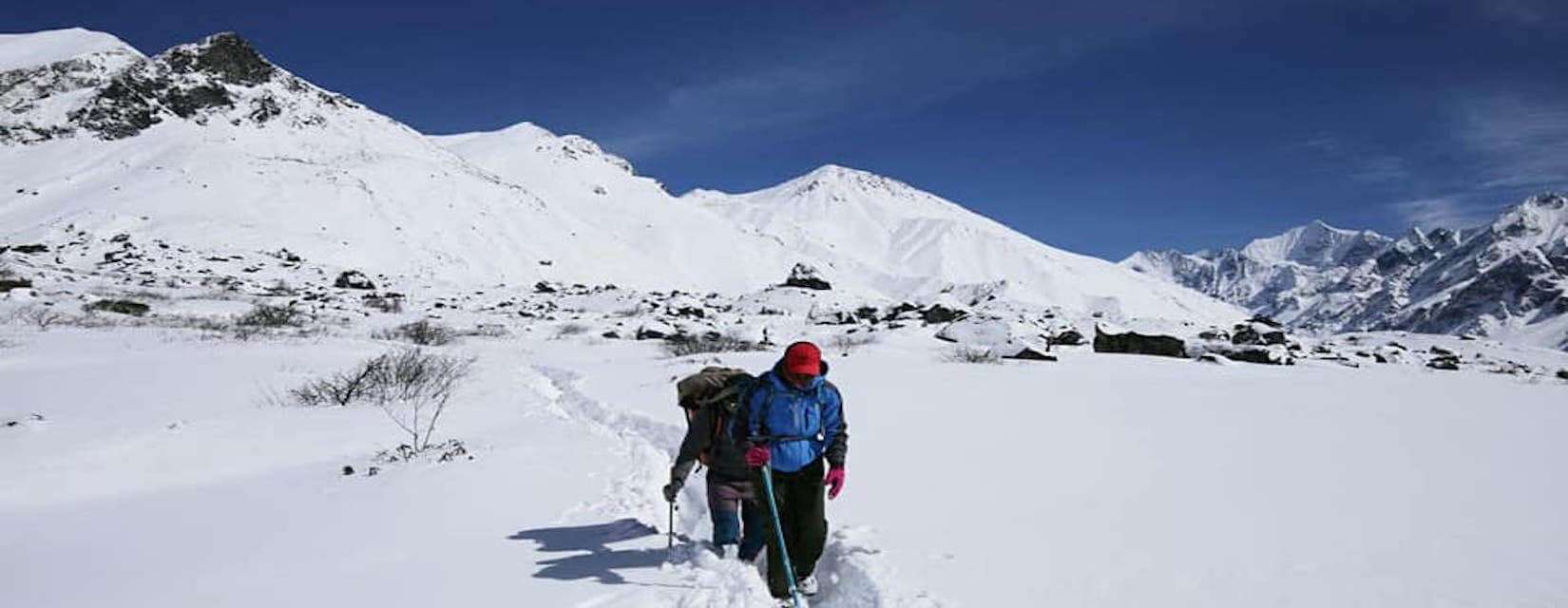 Langtang Valley Trek in Spring