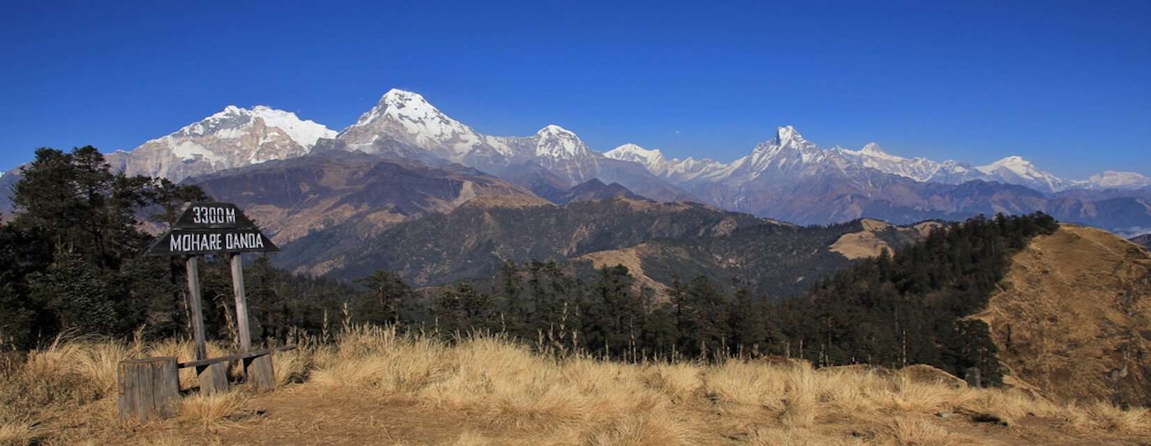 Mohare Danda Trek