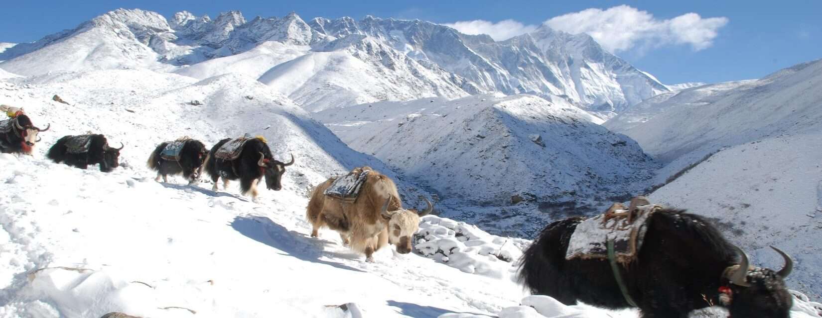 Mountain pass trek