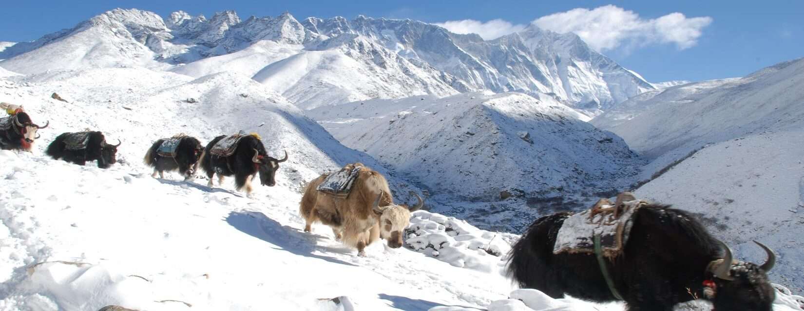 Mountain pass trek