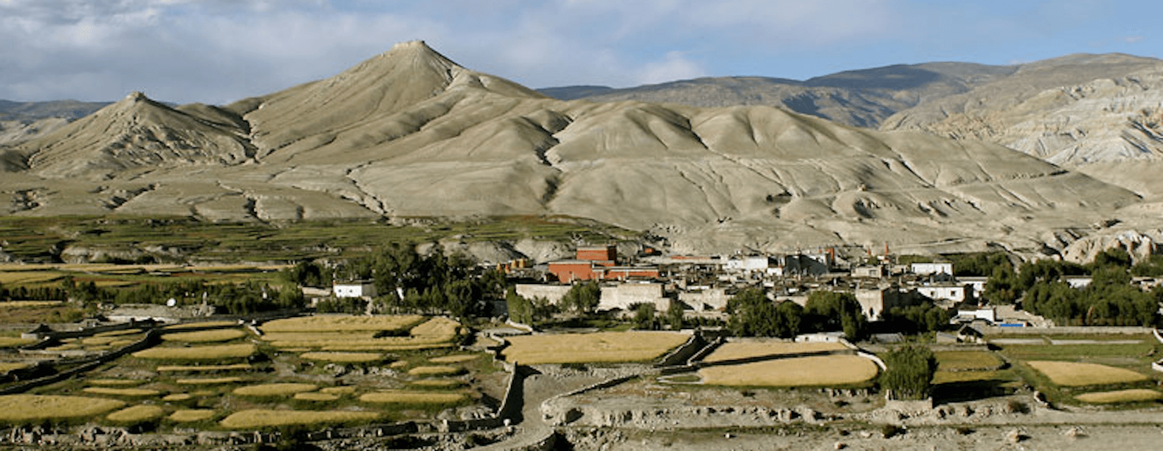 upper mustang