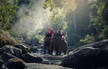 Chitwan Jungle Safari Tour